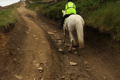 Badly rutted bridleway