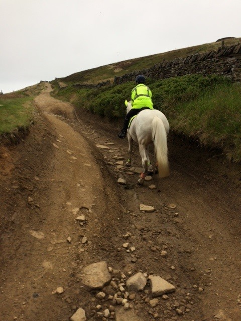 Badly rutted bridleway
